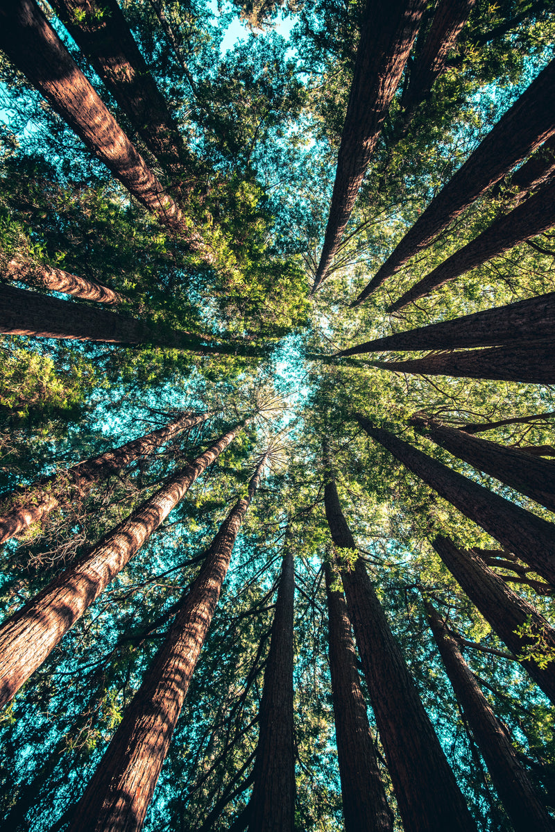 Tips for a greener, more sustainable closet